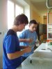 chemie08 24