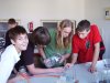 chemie08 40
