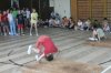 prekazky (13)
