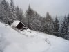 solanka09 2