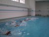 sporthod