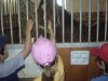 vylet_1a2tridy 59