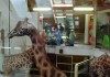 ZOO