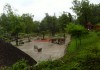 ZOO