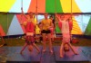 Cirkus