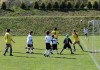 McDonald cup