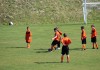 McDonald cup