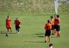 McDonald cup