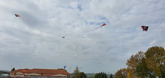 Pouštění draků