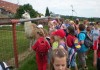 Bolek