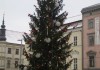 Exkurze